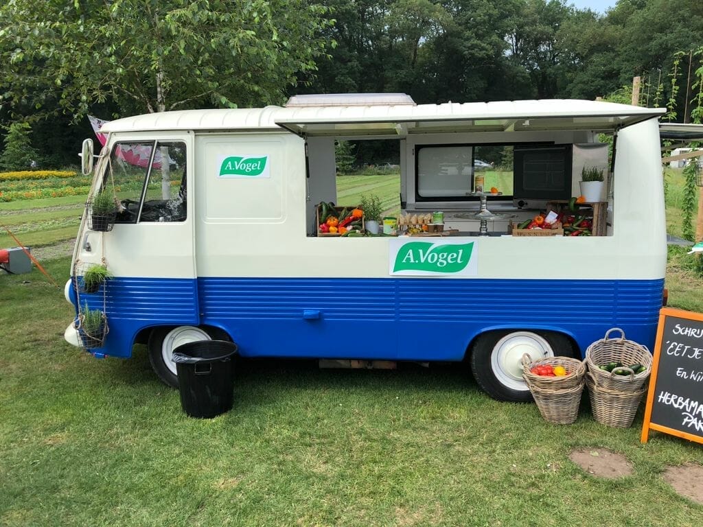 avogel